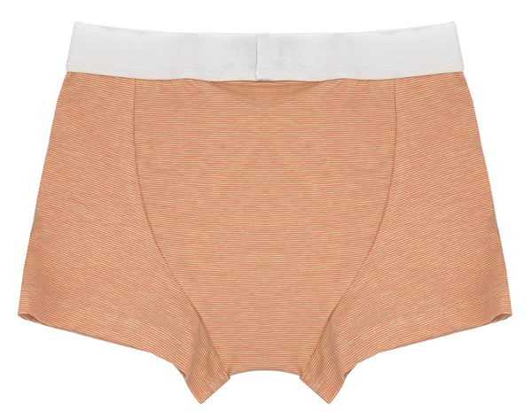Organic Cotton Jersey Trunk in Orange Fine Stripe